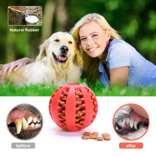 Natural Rubber Dog Dental Chew Ball
