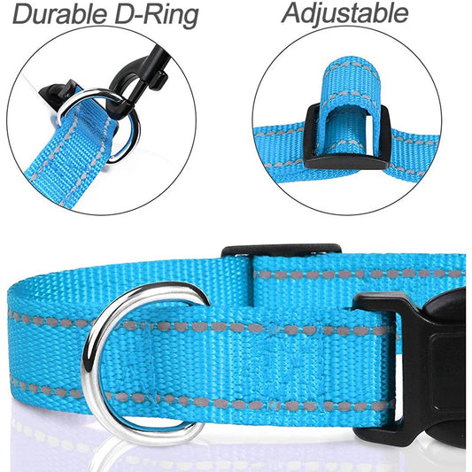 Adjustable Nylon Dog Collar – Comfort, Safety & Everyday Style