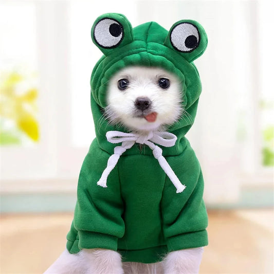 Adorable Frog Hoodie for Dogs – Cosy, Funny & Irresistible